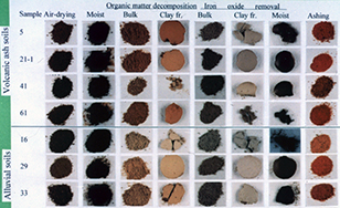 各種の処理による土色の変化と試料間の差異