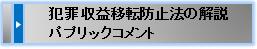 法律の解説 パブリックコメント